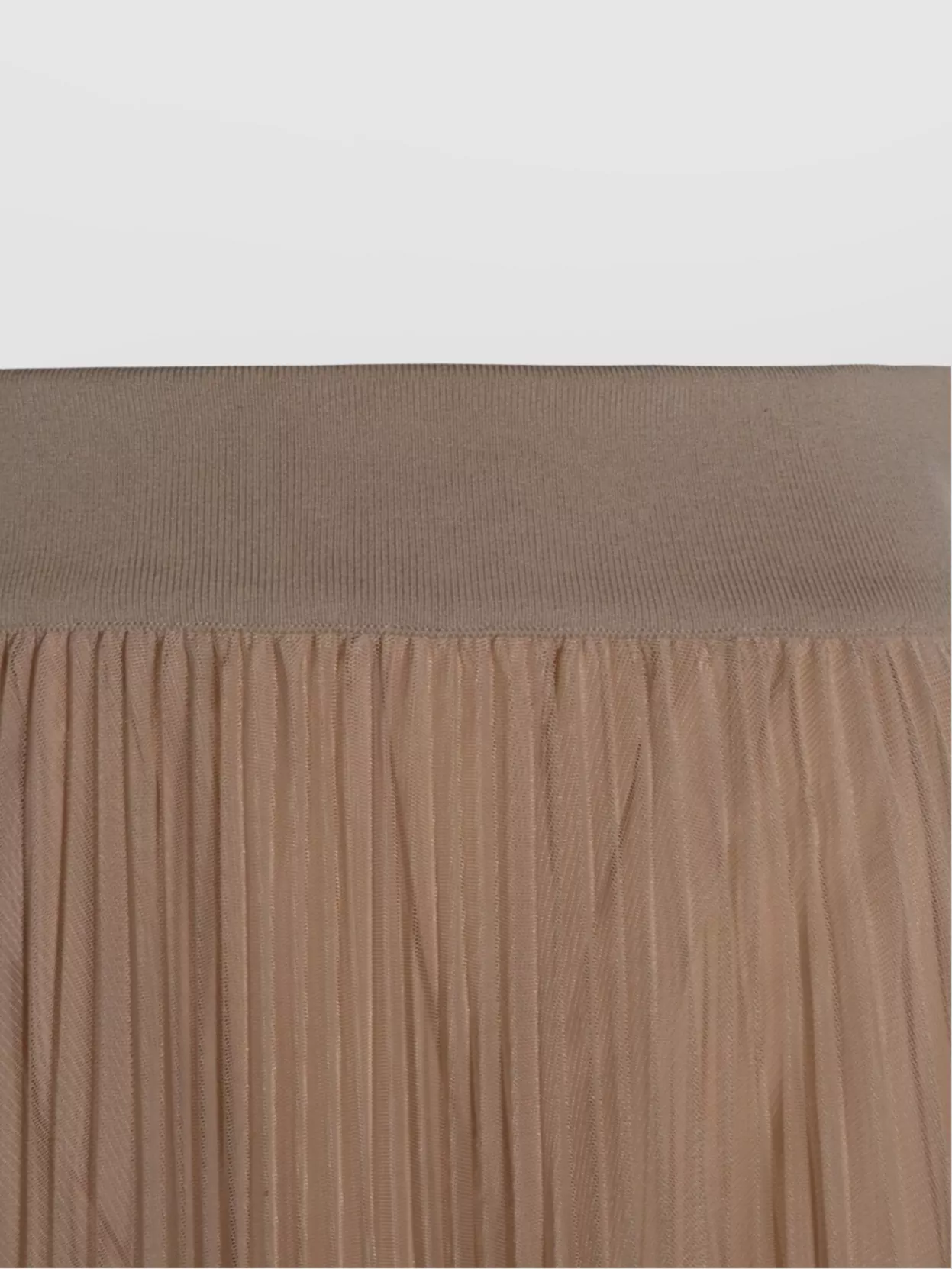 Fabiana Filippi Flowing Pleated Maxi Skirt With Elastic Waistband