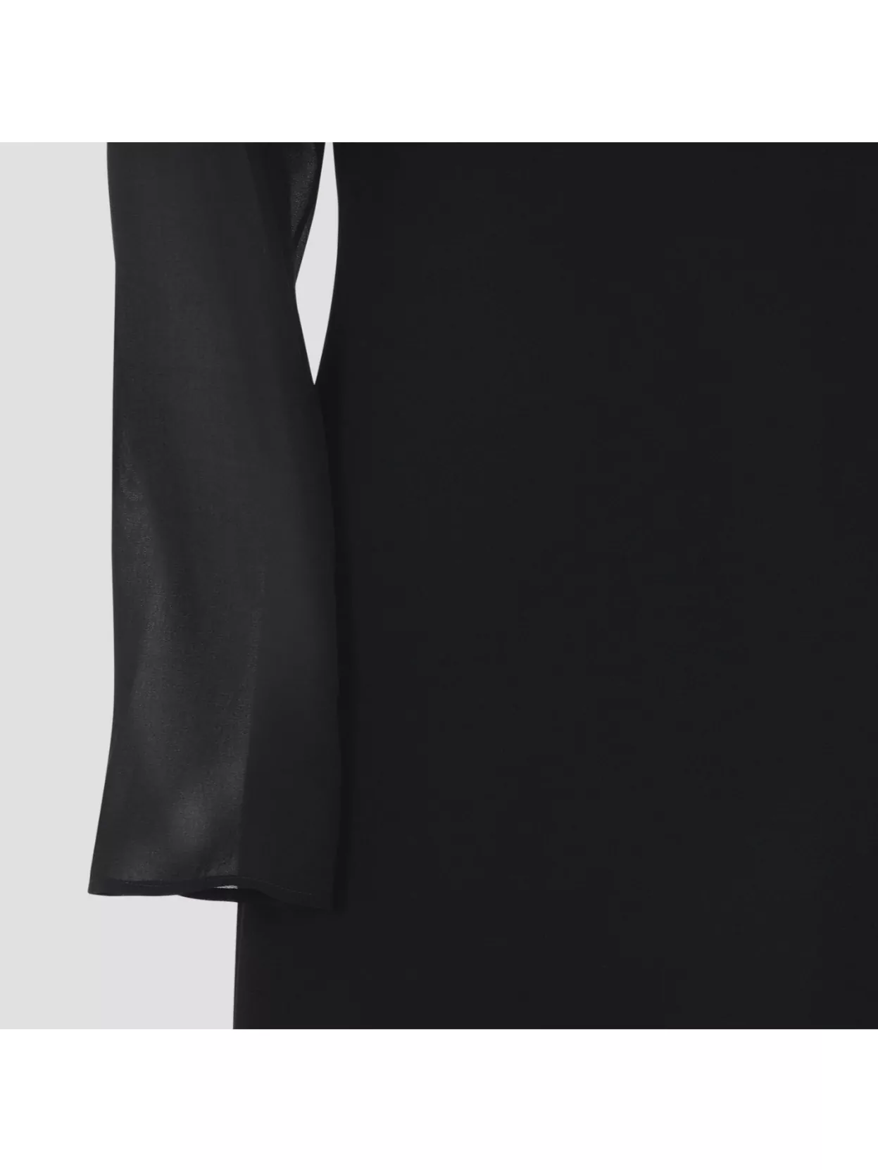 Alberta Ferretti Long Dress Sheer Sleeves