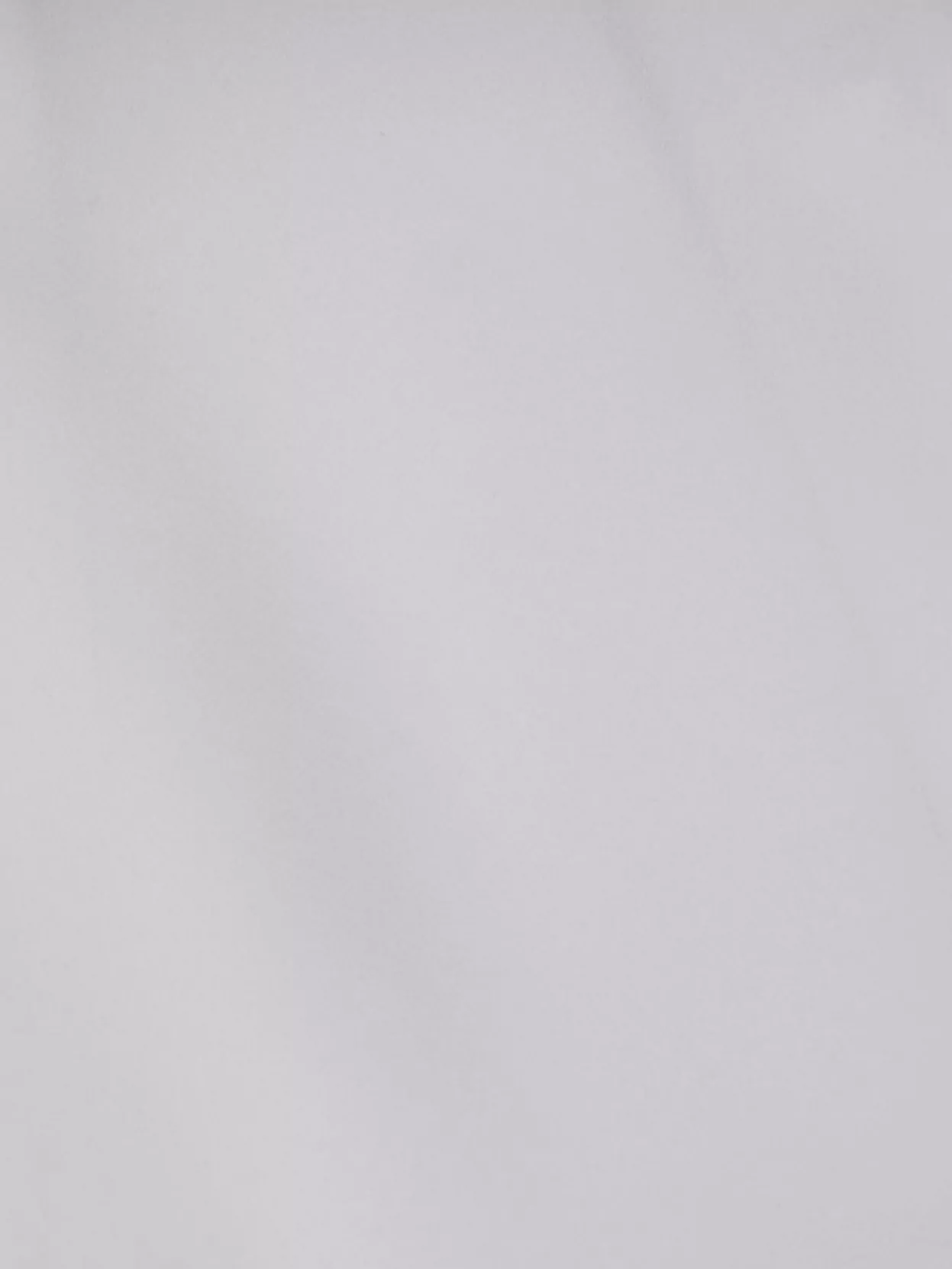 Max Mara Silk Shirt With Tie Neck And Long Sleeves In White