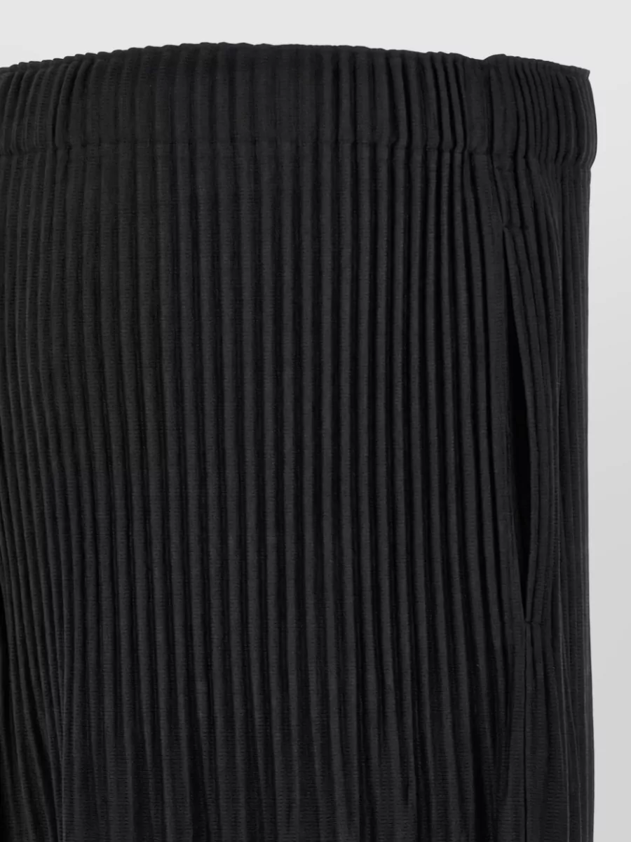 Homme Plisse Issey Miyake Color Pleats 2 Loose Fit Trousers