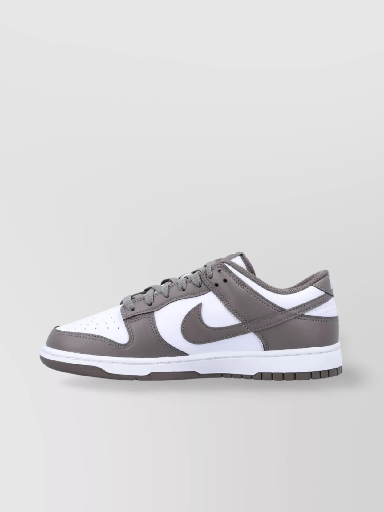Nike Retro Low Dunk Sneakers