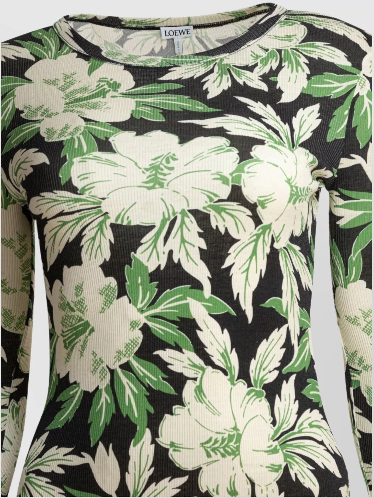 Loewe Midi Floral Patterned Dress With Long Sleeves In Multi