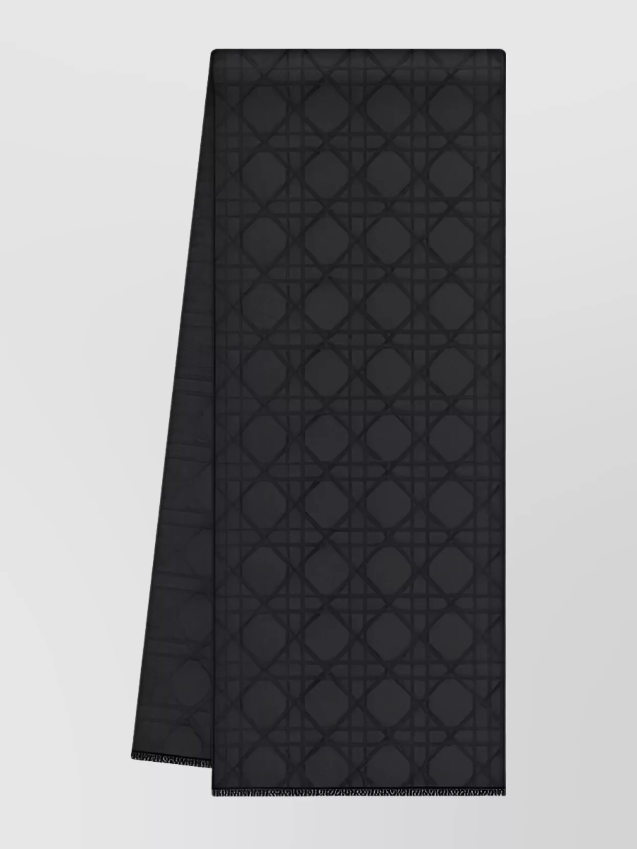 Christian Dior Stylish Fringed Rectangular Scarves