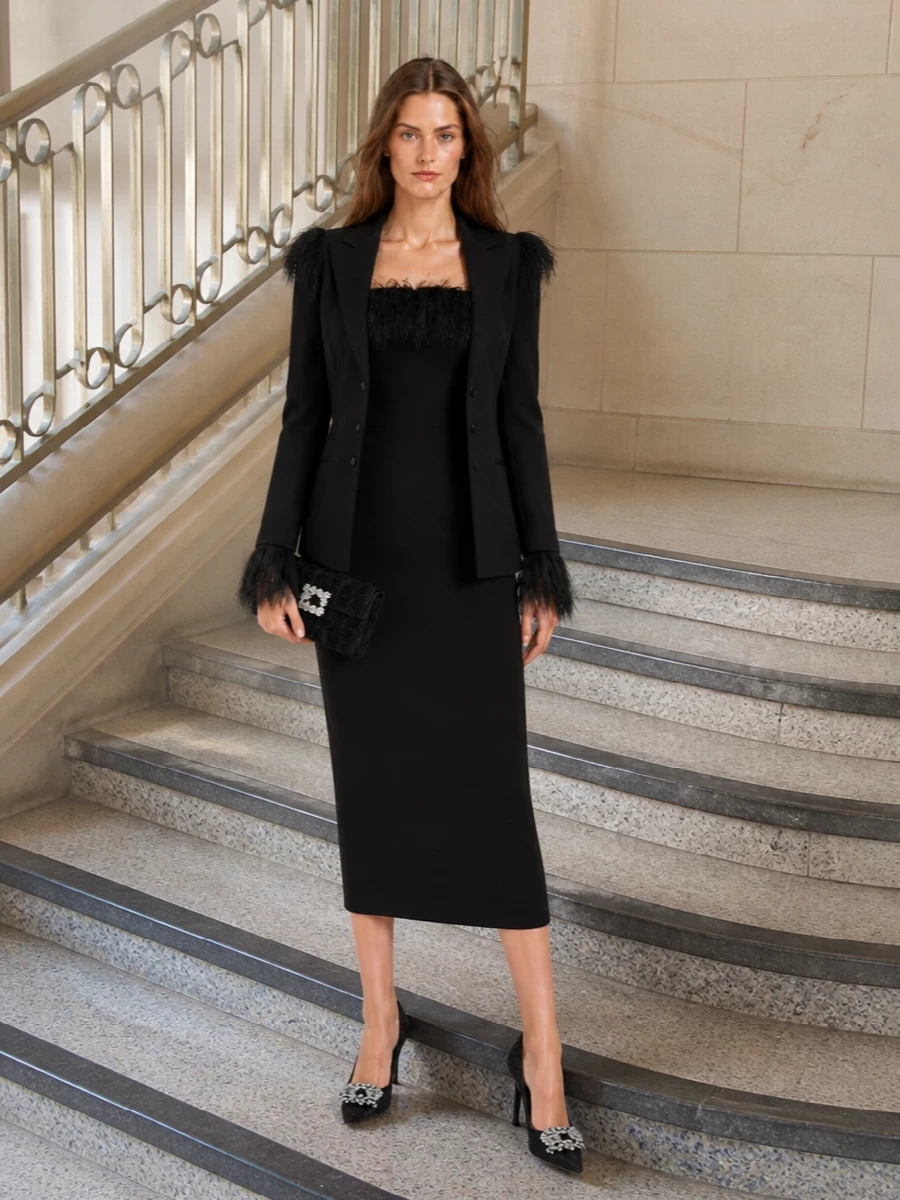 Alberta ferretti feather blazer black feather dress
