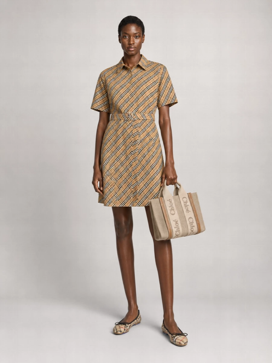 Chloé Woody Mini Linen Shoulder Bag