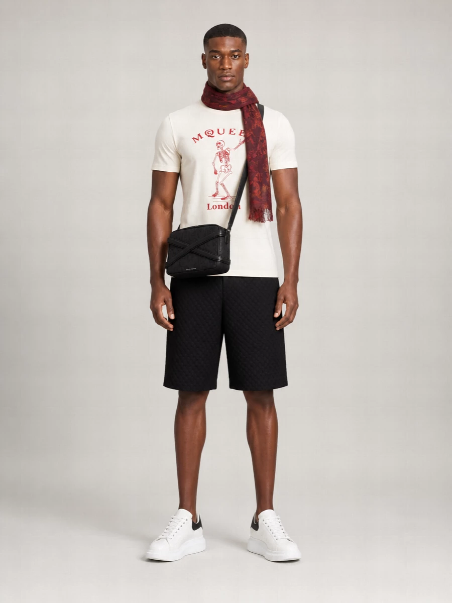 Alexander Mcqueen Printed Foulard